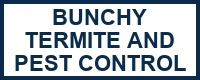 Bunchy Termite and Pest Control